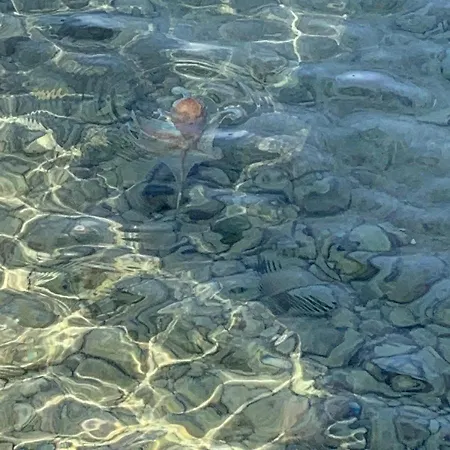 Campsite Lunabay Biograd Mobile