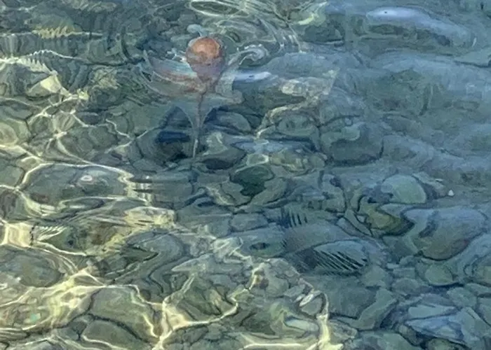 Κάμπινγκ Lunabay Biograd Mobile